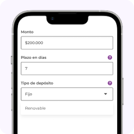 Paso 3: Simula tu DAP