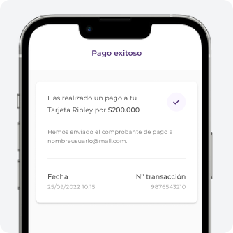 Confirma tu pago